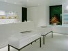 san-francisco-st-regis-hotel-spa-2