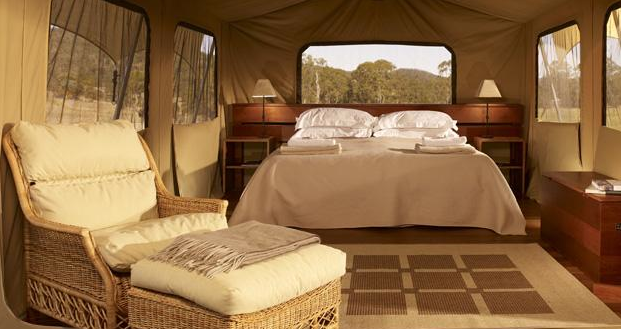 Luxury Safari Style Camping at Spicers Canopy in Australia