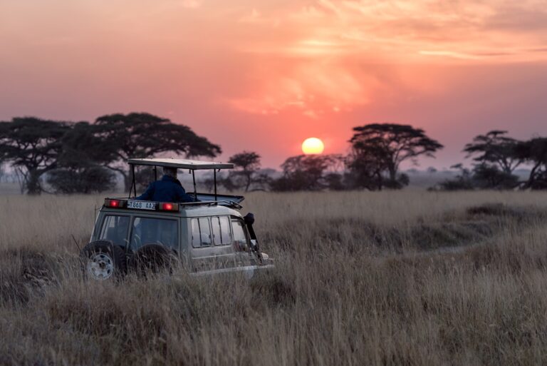 Best Luxury Safari Lodges Kruger National Park for an Unforgettable Wildlife Experience