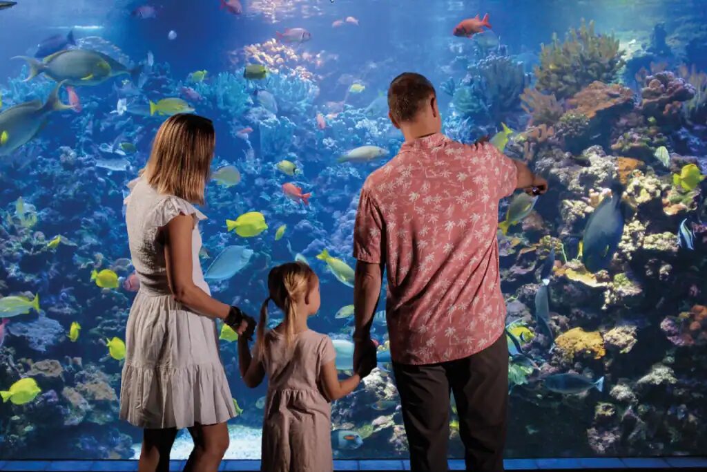 A family at the Living Reef exhibit, Maui Ocean Center