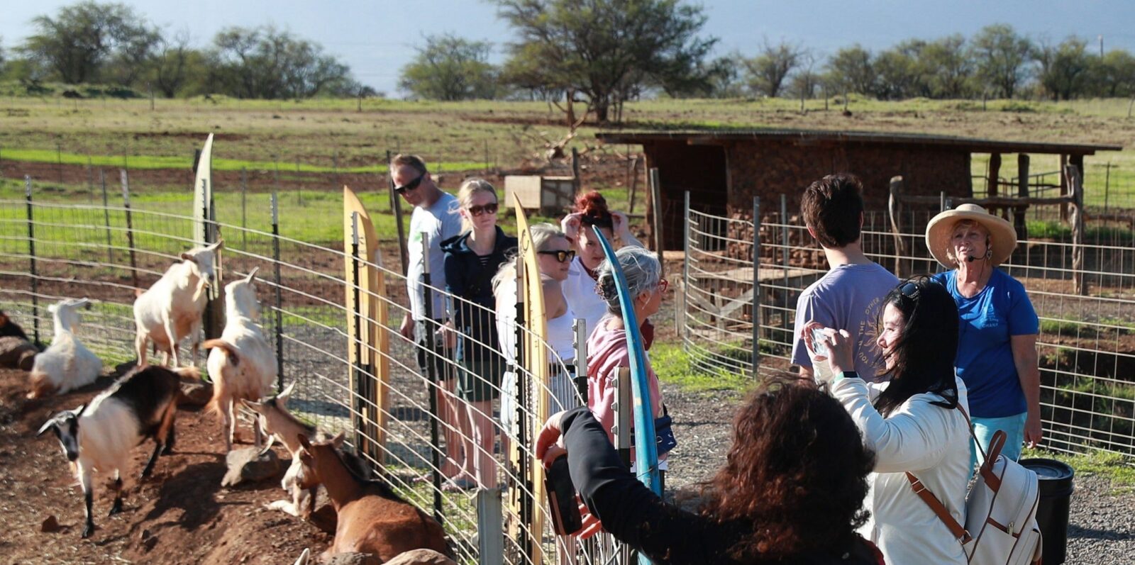 Visitors meeting the goats at Surfing Goat Dairy in Kula, Upcountry Maui