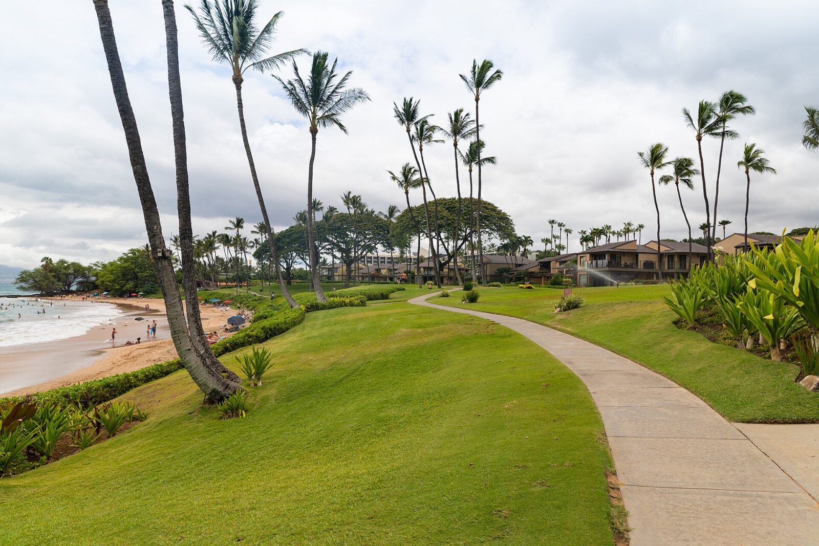 A paved coastal path curving past clipped lawn and leaning coconut palms in Wailea, Maui, with low-rise resort buildings and private lanais on the right and a sandy beach with swimmers and bright umbrellas on the left under an overcast sky.